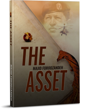 Audiobook (The Asset)